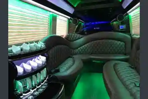Limo Interior, McHenry Limousine