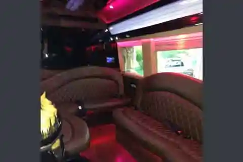 Limo Interior, McHenry Limousine
